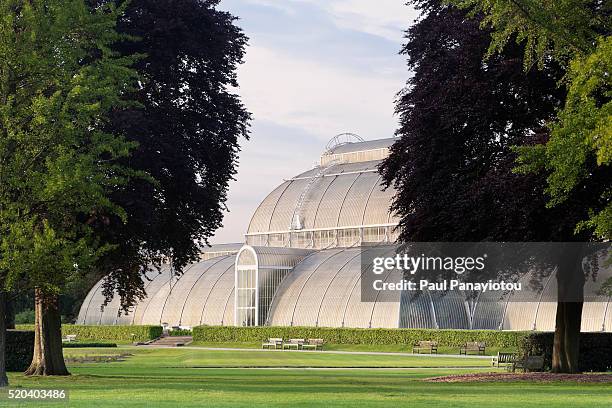 the palm house at kew gardens, london, uk - kew gardens conservatory stock pictures, royalty-free photos & images