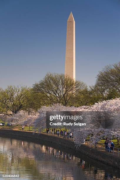 people walking along the tidal basin - タイダルベイスン ストックフォトと画像