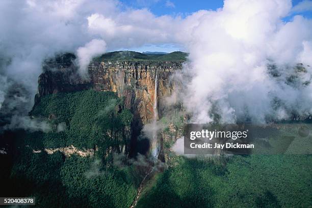 angel falls - angel falls bildbanksfoton och bilder