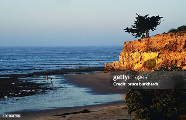 cliff and leadbetter beach - santa barbara imagens e fotografias de stock