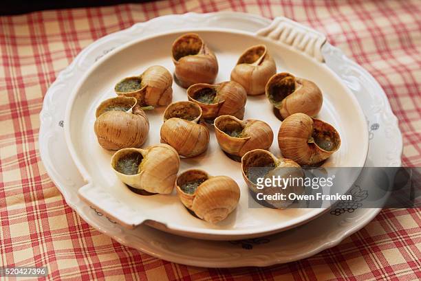 stuffed alsatian snails in shells - slakkenhuis stockfoto's en -beelden