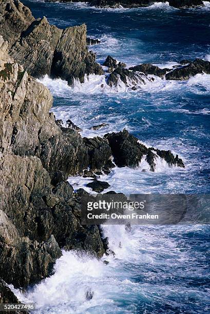 rocky coastline - porquerolles imagens e fotografias de stock