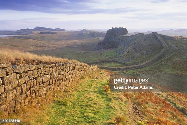 hadrians wall, northumberland, england, great britain - northumberland foto e immagini stock
