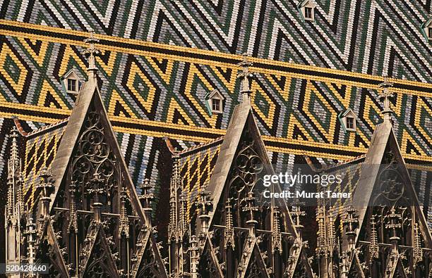 roof of the st. stephan's cathedral in vienna, austria - st stephens cathedral vienna imagens e fotografias de stock