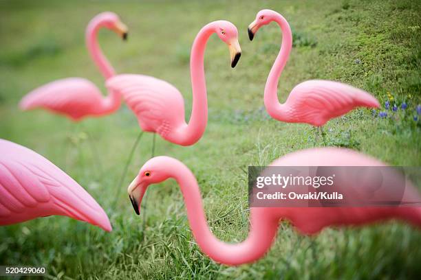 flamingo garden ornaments - garden feature stock pictures, royalty-free photos & images