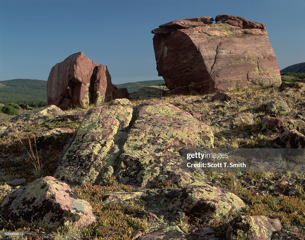 Erratics Left By Glacier in Uinta Mountains