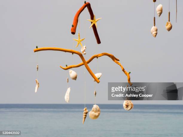 a mobile made from drift wood and sea shells at a beach front bar in skala eresou, lesvos, greece - skala greece fotografías e imágenes de stock