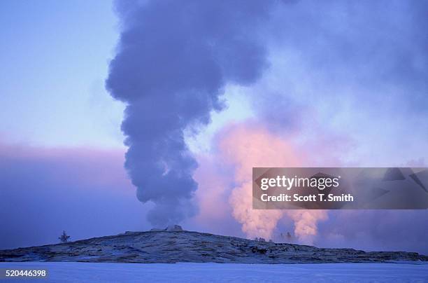 old faithful geyser steaming - yellowstone national park old faithful stock pictures, royalty-free photos & images