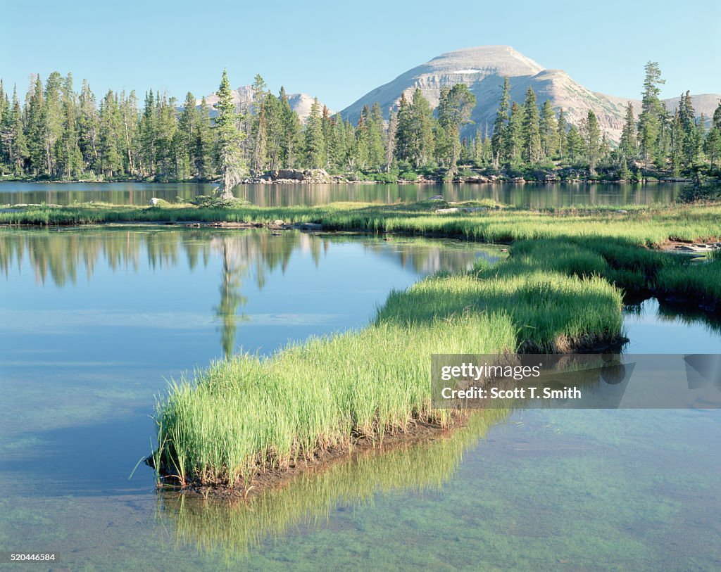 Grassy Peninsula in Margo Lake