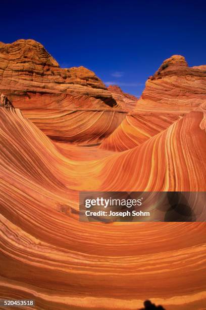 coyote butte's sandstone stripes - the wave coyote buttes stock pictures, royalty-free photos & images