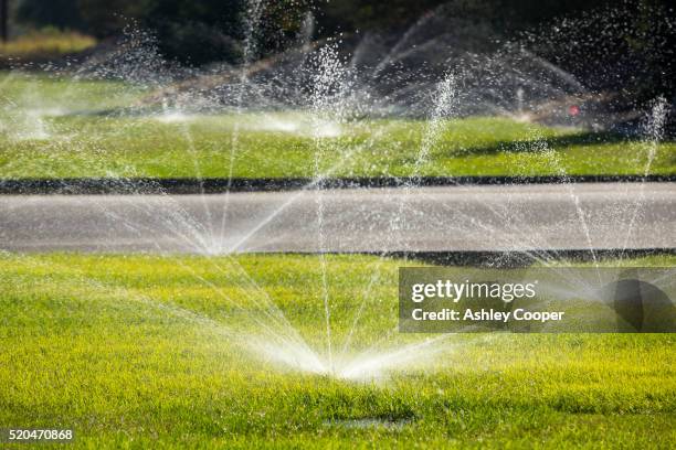 despite the worst drought in living memory, people are still watering their lawns - lawn equipment stock pictures, royalty-free photos & images