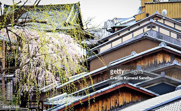 house formations in gion area towards kyomizu-dera - kiyomizu dera temple - fotografias e filmes do acervo
