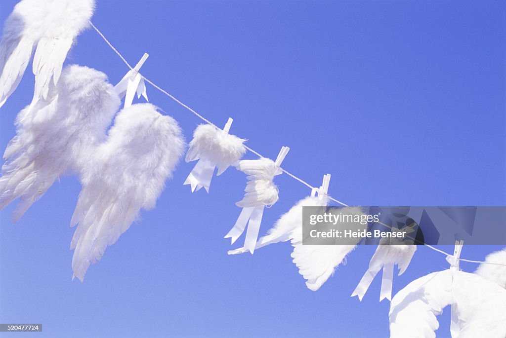 Artificial wings on washing line against sky