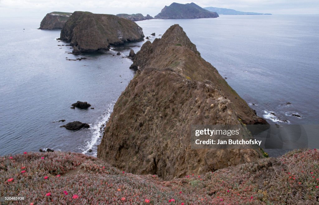 Anacapa Islands