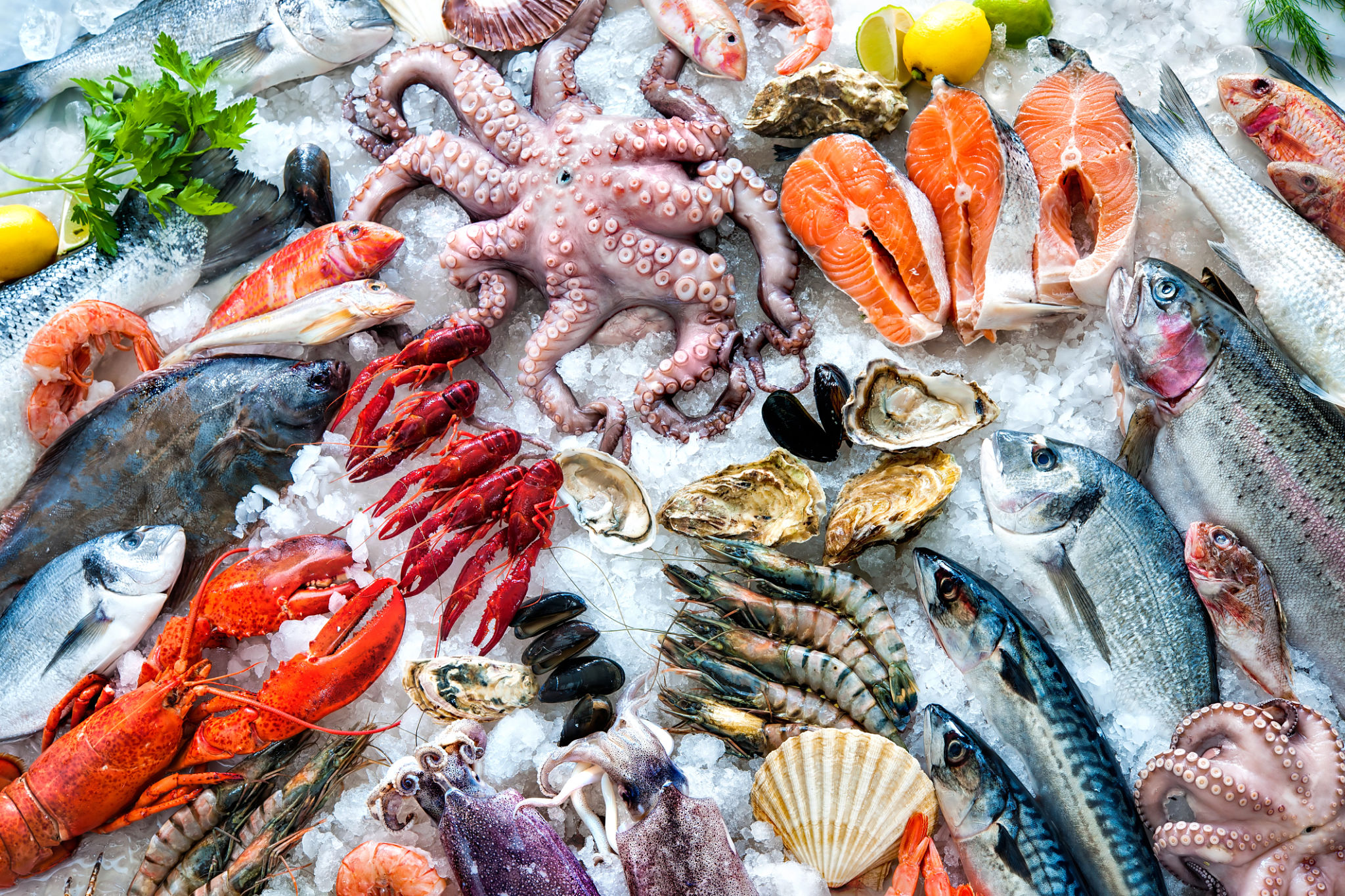 fresh seafood