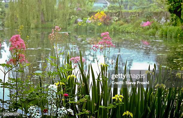 monet's pond - giverny stock-fotos und bilder