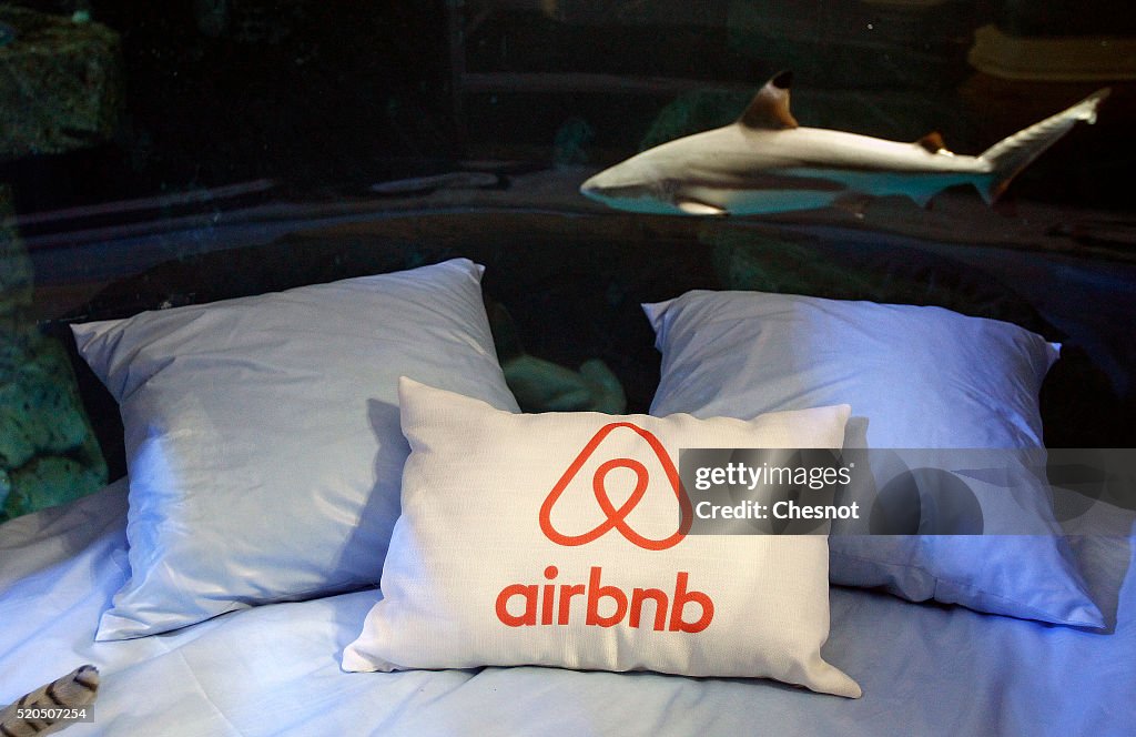 The Paris Aquarium And Airbnb Organize A Contest To Offer Winners A Night Underwater With Sharks