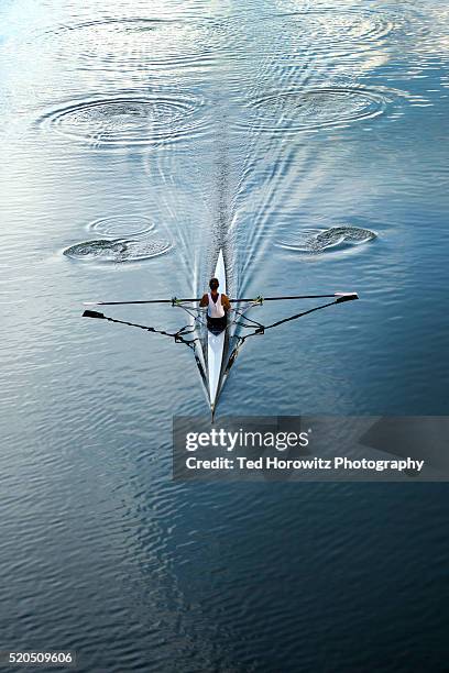 woman rowing single scull. - canottaggio foto e immagini stock