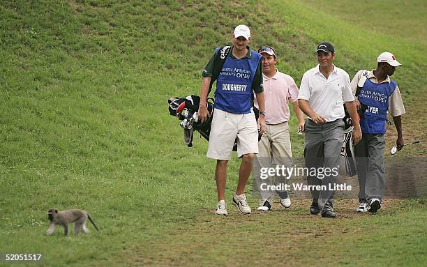 Nick Dougherty of England walks past a monkey on the ninth hole during the final round of South African Airways Open at Durban Country Club on...