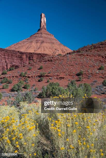 rabbit brush and castle peak - rabbit brush stock pictures, royalty-free photos & images