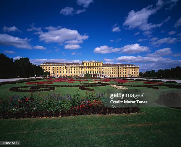 schoenbrunn castle, gardens in foreground, austria, vienna - schloss schönbrunn vienna stock-fotos und bilder