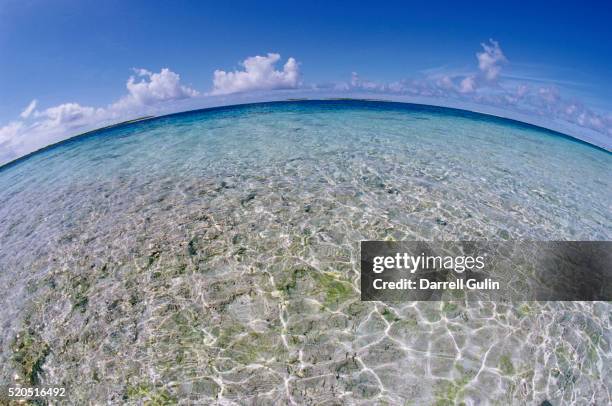 clear tropical waters at pitcairn islands - pitcairnöarna bildbanksfoton och bilder