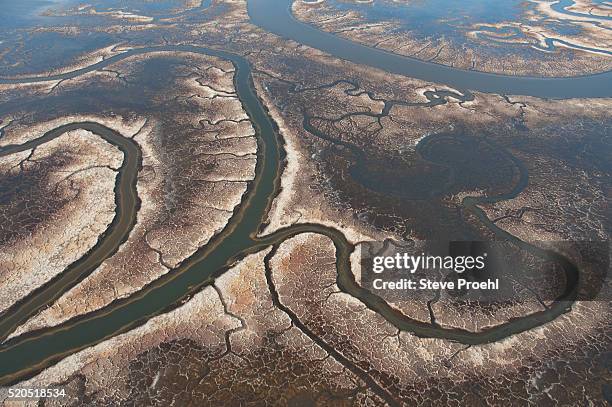 salt marsh in the san francisco bay - tidal marsh stock pictures, royalty-free photos & images