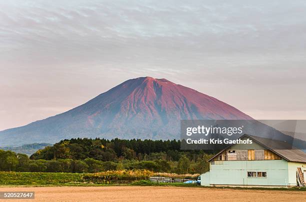 autumn evening farmhouse and mount yotei - vulkan yotei stock-fotos und bilder