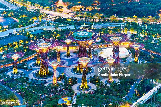 aerial of supertree grove, gardens by the bay, singapore - singapore city aerial stock pictures, royalty-free photos & images