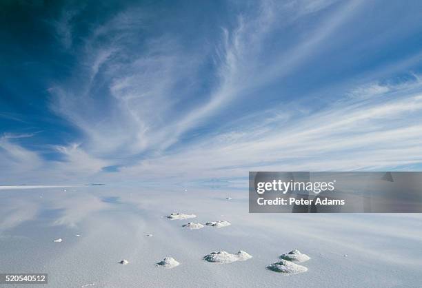 salar de uyuni salt flats - uyuni stock pictures, royalty-free photos & images