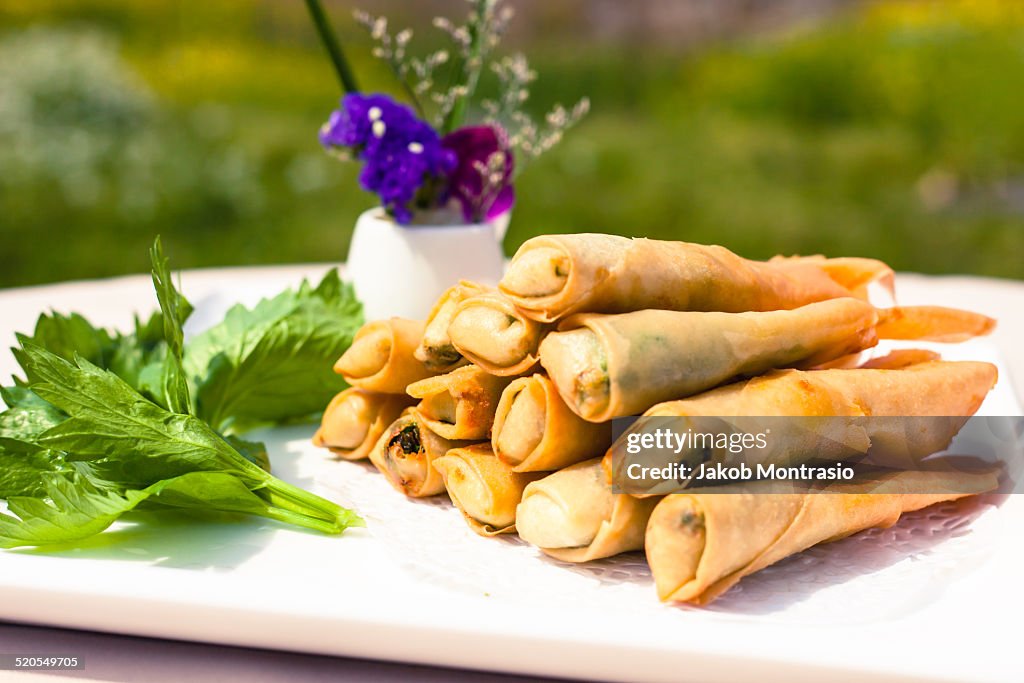 Chinese Dish Spring Rolls