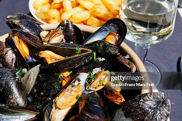 moules frites - mussels stock pictures, royalty-free photos & images