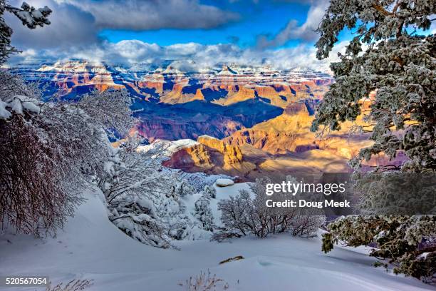 view of north rim from yaki point, grand canyon, arizona - versante nord del grand canyon foto e immagini stock