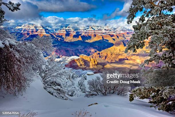 view of north rim from yaki point, grand canyon, arizona - north rim stock pictures, royalty-free photos & images