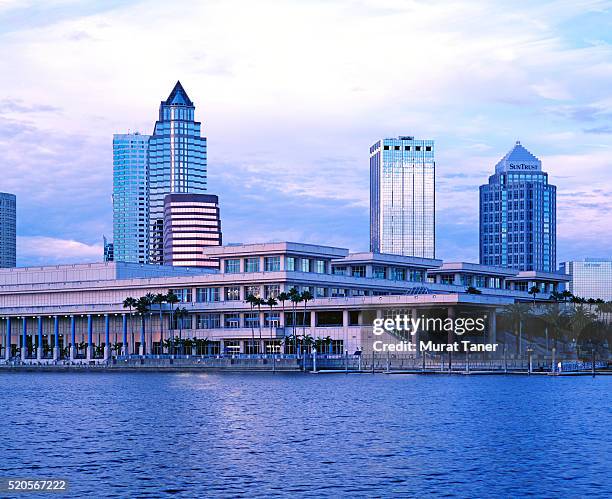 tampa skyline - tampa sunset stock pictures, royalty-free photos & images