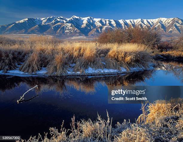 Cache River Draw 113 Cache River Stock Photos, High-Res Pictures, and Images - Getty Images