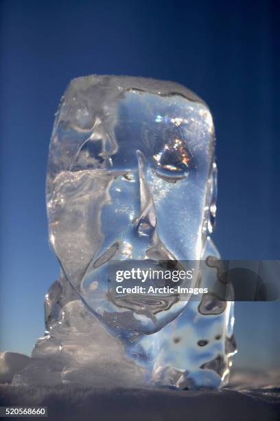 ice sculpture - eisskulptur stock-fotos und bilder