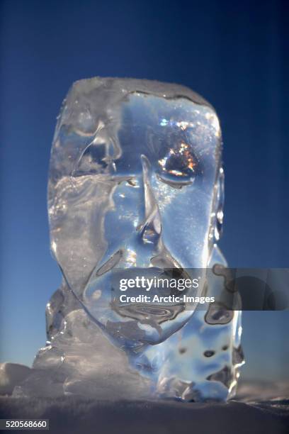 ice sculpture - ice sculpture stock-fotos und bilder