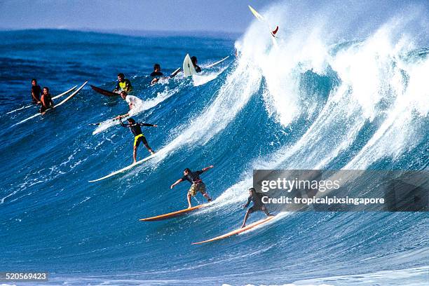 surfar na baía de waimea - oahu imagens e fotografias de stock