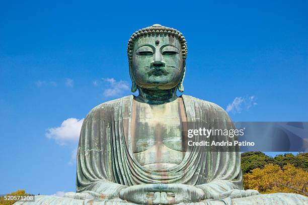 daibutsu (great buddha) of kamakura, japan - giant buddha stock pictures, royalty-free photos & images