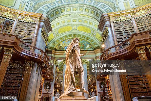 austria, vienna, interior of state hall historic library - museum sculpture stock pictures, royalty-free photos & images