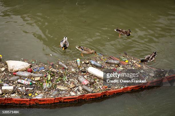 garbage accumulated in the seine river, paris - river seine foto e immagini stock
