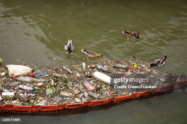 garbage accumulated in the seine river, paris - river pollution stock pictures, royalty-free photos & images