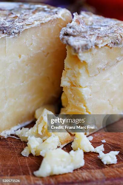 Matured Cheese 95 Matured Cheese Stock Photos, High-Res Pictures, and Images - Getty ...