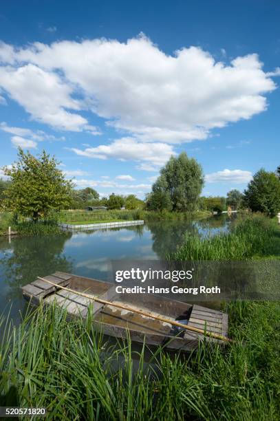 wetlands 'marais', barge boat in the reeds - bourges stock pictures, royalty-free photos & images