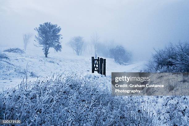 dunstable downs - チルターンヒルズ ストックフォトと画像