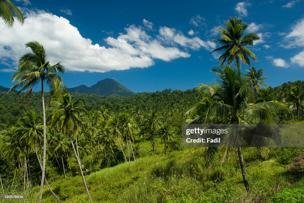 Scenery on Mt Duasaudara on North Sulawesi