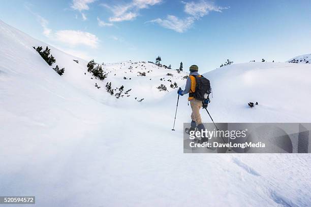 in cerca di pace e tranquillità alte delle alpi - racchetta da neve attrezzatura sportiva foto e immagini stock