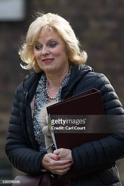 Anna Soubry, the Minister for Small Business, Industry and Enterprise, arrives for a cabinet meeting at 10 Downing Street on April 12, 2016 in...