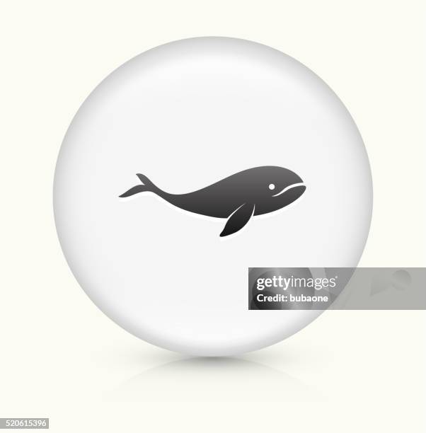 whale icon on white round vector button - okra stock illustrations